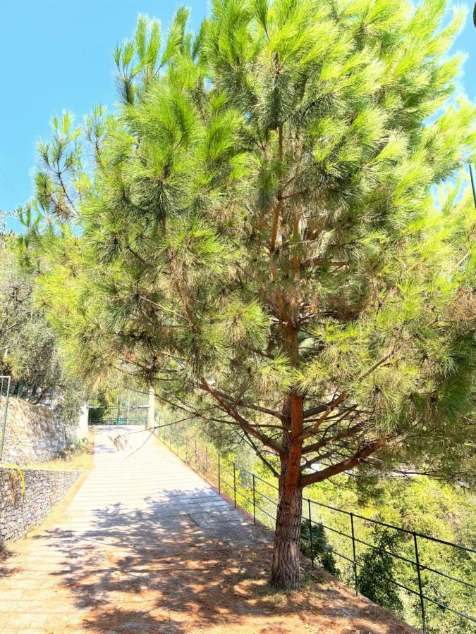 לינה וארוחת בוקר ראפאלו La Riviera Bed & Breakfast מראה חיצוני תמונה